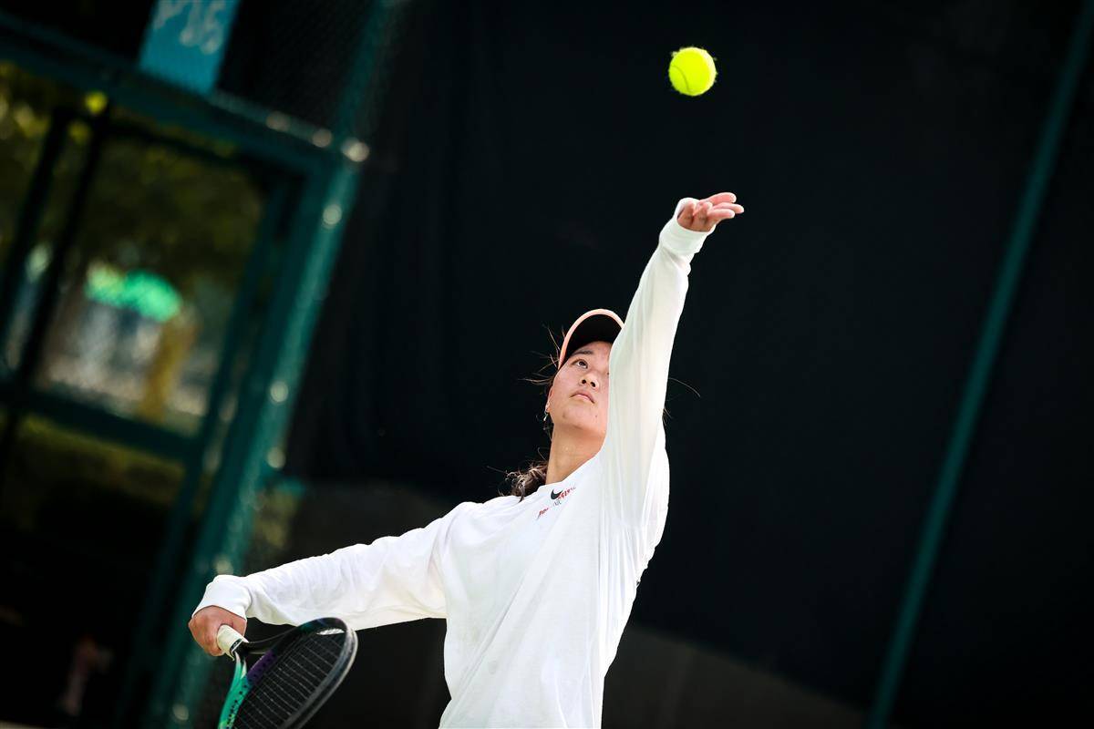 不仅彰显了 不仅彰显了